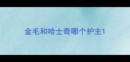 金毛和哈士奇哪个护主