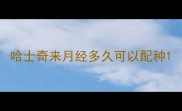 哈士奇来月经多久可以配种