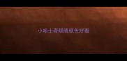 小哈士奇眼睛颜色好看