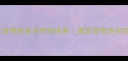 郑州专业宠物美容洗剪吹推荐潮派宠物美容馆服务全