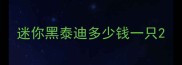 迷你黑泰迪多少钱一只