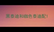 黑泰迪和咖色泰迪配