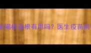 宠物打疫苗前喝板蓝根有用吗医生疫苗前调理全攻略