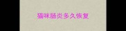 猫咪肠炎多久恢复