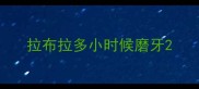 拉布拉多小时候磨牙