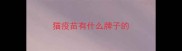 猫疫苗有什么牌子的