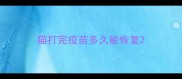 猫打完疫苗多久能恢复
