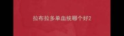 拉布拉多单血统哪个好