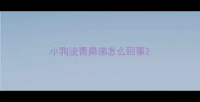 小狗流青鼻涕怎么回事