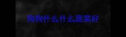 狗狗什么什么蔬菜好