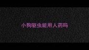 小狗驱虫能用人药吗