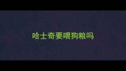 哈士奇要喂狗粮吗