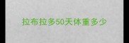拉布拉多50天体重多少