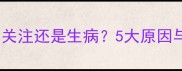 狗狗舔腿是求关注还是生病5大原因与注意事项全
