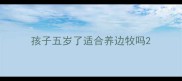 孩子五岁了适合养边牧吗