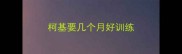 柯基要几个月好训练