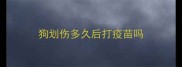 狗划伤多久后打疫苗吗