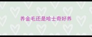 养金毛还是哈士奇好养