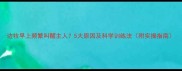 边牧早上频繁叫醒主人5大原因及科学训练法附实操指南