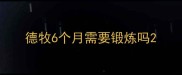 德牧6个月需要锻炼吗