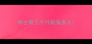 哈士奇三个月能张多大