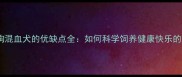 泰迪与杂狗混血犬的优缺点全如何科学饲养健康快乐的家庭伙伴