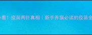 猫咪必看疫苗两针真相新手养猫必读的疫苗全攻略
