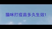 猫咪打疫苗多久生效
