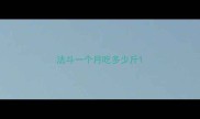 法斗一个月吃多少斤
