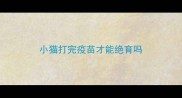 小猫打完疫苗才能绝育吗