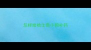 怎样给哈士奇小狗补钙