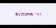 南宁卖宠物的市场