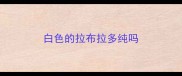 白色的拉布拉多纯吗