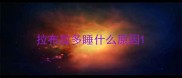 拉布拉多睡什么原因