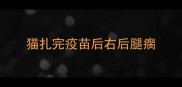 猫扎完疫苗后右后腿瘸