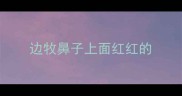 边牧鼻子上面红红的
