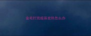 金毛打完疫苗发热怎么办