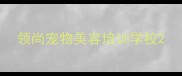 领尚宠物美容培训学校