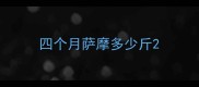 四个月萨摩多少斤