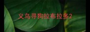 义乌寻狗拉布拉多