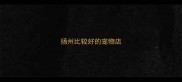 扬州比较好的宠物店