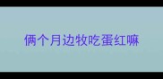 俩个月边牧吃蛋红嘛