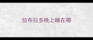 拉布拉多晚上睡在哪