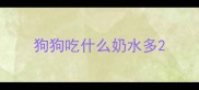 狗狗吃什么奶水多