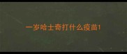 一岁哈士奇打什么疫苗