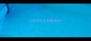 小狗不吃东西精神好