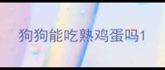 狗狗能吃熟鸡蛋吗