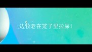 边牧老在笼子里拉屎