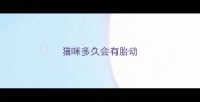 猫咪多久会有胎动