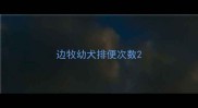 边牧幼犬排便次数